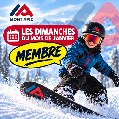 4 cours de 2h les dimanches du mois de janvier