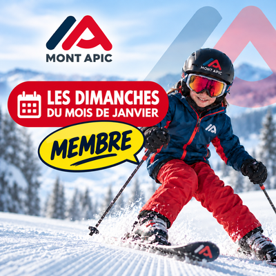 4 cours de 2h les dimanches du mois de janvier