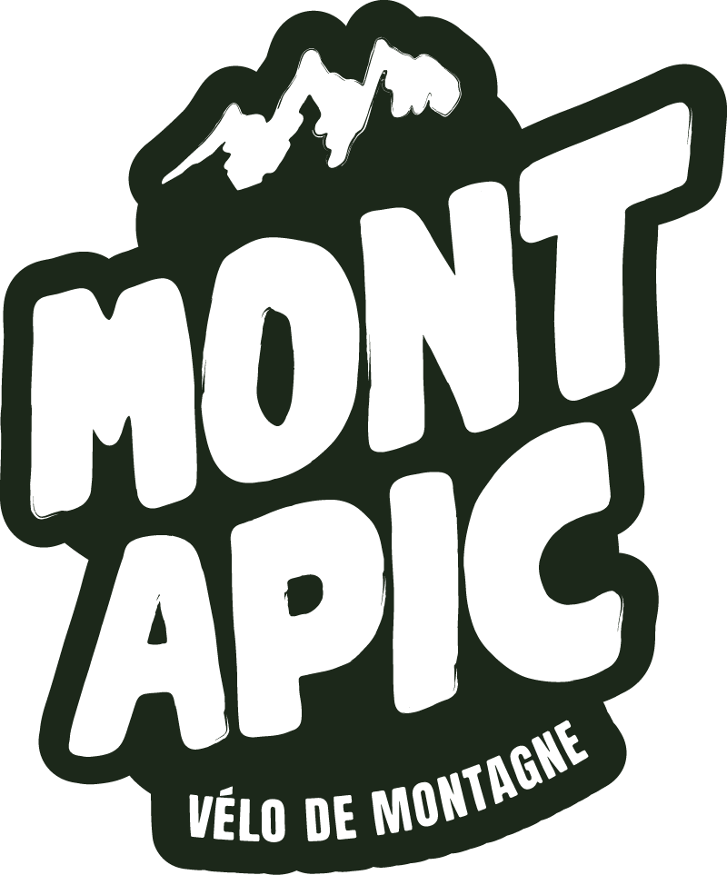 Don vélo de montagne